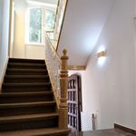 Brand new renovated & fully furnished 1 room apartment in Pfungstadt City / Close to Darmstadt