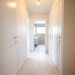 Rent 5 bedroom house of 230 m² in Kortenberg