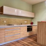 Rent 2 bedroom apartment of 65 m² in Březno