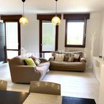 Rent 4 bedroom apartment of 121 m² in Selvazzano Dentro