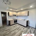 Rent 3 bedroom apartment in Strupčice