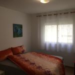 Rent a room in Arona
