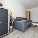 Wynajmij 1 sypialnię apartament z 25 m² w Wałbrzych