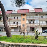 Rent 2 bedroom apartment of 35 m² in Nocera Terinese