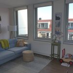 Rent 3 bedroom apartment of 70 m² in Haarlem