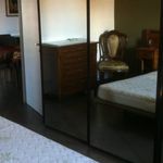 Rent 3 bedroom apartment in Frosinone