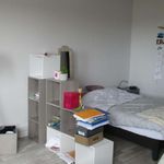 Rent 1 bedroom apartment of 33 m² in Rodez