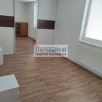 Rent 2 bedroom apartment of 44 m² in Zichovec