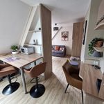 Rent 1 bedroom apartment of 22 m² in Haguenau