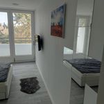 Rent 2 bedroom apartment of 28 m² in München