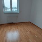 Rent 4 bedroom apartment of 83 m² in Bad Traunstein