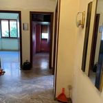 Affitto 4 camera appartamento di 100 m² in Civitavecchia