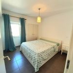 Rent 1 bedroom apartment in Diogo Dias
