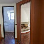 Affitto 11 camera casa di 300 m² in Torino