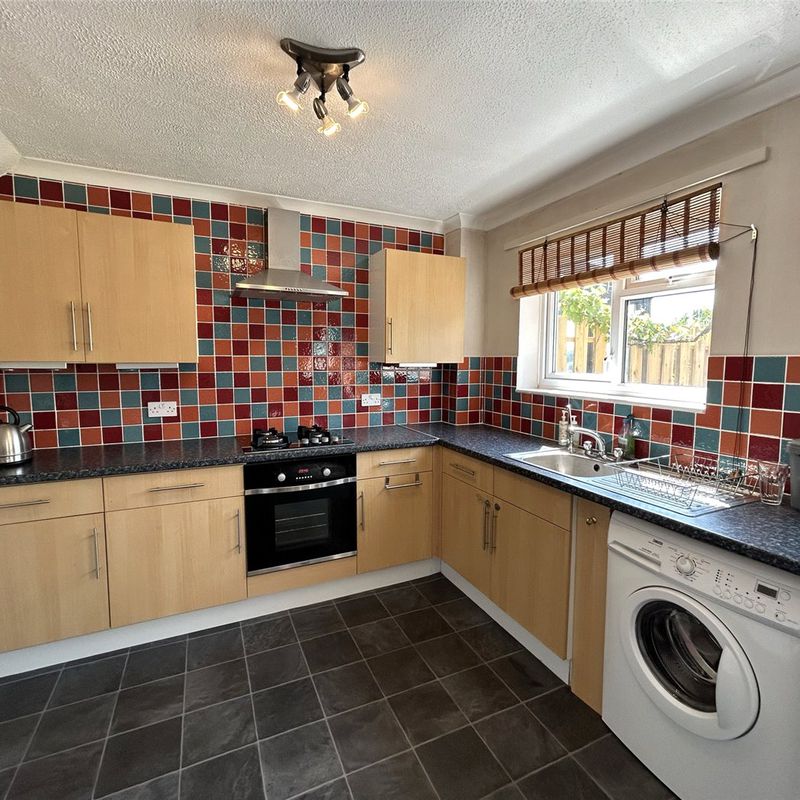 house for rent at Beech Park, Crediton, Devon, EX17, England East Town