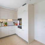 Rent 3 bedroom apartment of 73 m² in Aesch