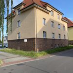Rent 1 bedroom apartment of 39 m² in Braunsbedra