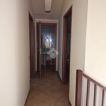 Rent 6 bedroom apartment of 240 m² in Velletri
