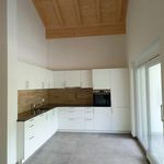 Rent 1 bedroom apartment of 153 m² in Saxon
