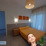 Affitto 3 camera appartamento di 60 m² in Teramo