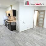 Rent 1 bedroom apartment of 34 m² in Roudnice nad Labem