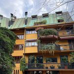 Rent 5 bedroom apartment of 233 m² in Milano