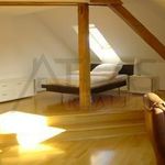 Rent 4 bedroom apartment of 200 m² in Praha
