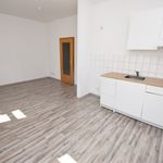 Rent 1 bedroom apartment of 29 m² in Chemnitz