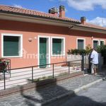 Rent 2 bedroom apartment of 40 m² in Urbino