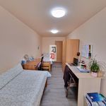 Rent 1 bedroom apartment of 10 m² in Olomouc