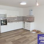 Rent 1 bedroom apartment of 57 m² in Prostějov
