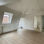 Huur 2 slaapkamer appartement van 50 m² in Arnhem