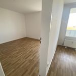Miete 3 Schlafzimmer wohnung von 81 m² in Düsseldorf