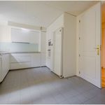 Rent 3 bedroom apartment of 165 m² in Madrid