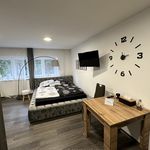 Rent 1 bedroom apartment of 22 m² in Rokytnice nad Jizerou