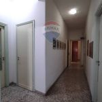 Affitto 7 camera appartamento di 115 m² in Catania