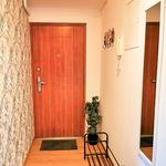 Rent 3 bedroom apartment in Kraków