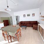 Rent 4 bedroom apartment of 110 m² in Tricase