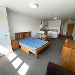 Rent 1 bedroom apartment in Portsmouth