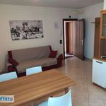 Affitto 1 camera appartamento di 70 m² in Treviso