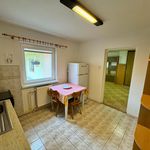 Rent 1 bedroom apartment of 85 m² in Píšťany