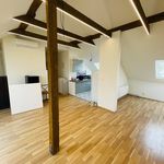 Rent 1 bedroom apartment in Brno venkov