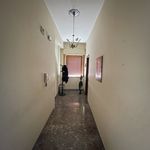 Rent 3 bedroom apartment of 116 m² in Reggio di Calabria