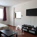Rent 1 bedroom apartment of 64 m² in Adamov