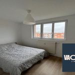 Rent 1 bedroom apartment in Maubeuge