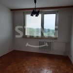 Rent 3 bedroom apartment of 80 m² in Uherské Hradiště