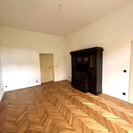 Rent 3 bedroom apartment of 173 m² in Pilsen