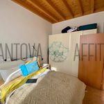 Rent 2 bedroom apartment of 55 m² in Mantova