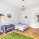 Rent 5 bedroom apartment in Strasbourg