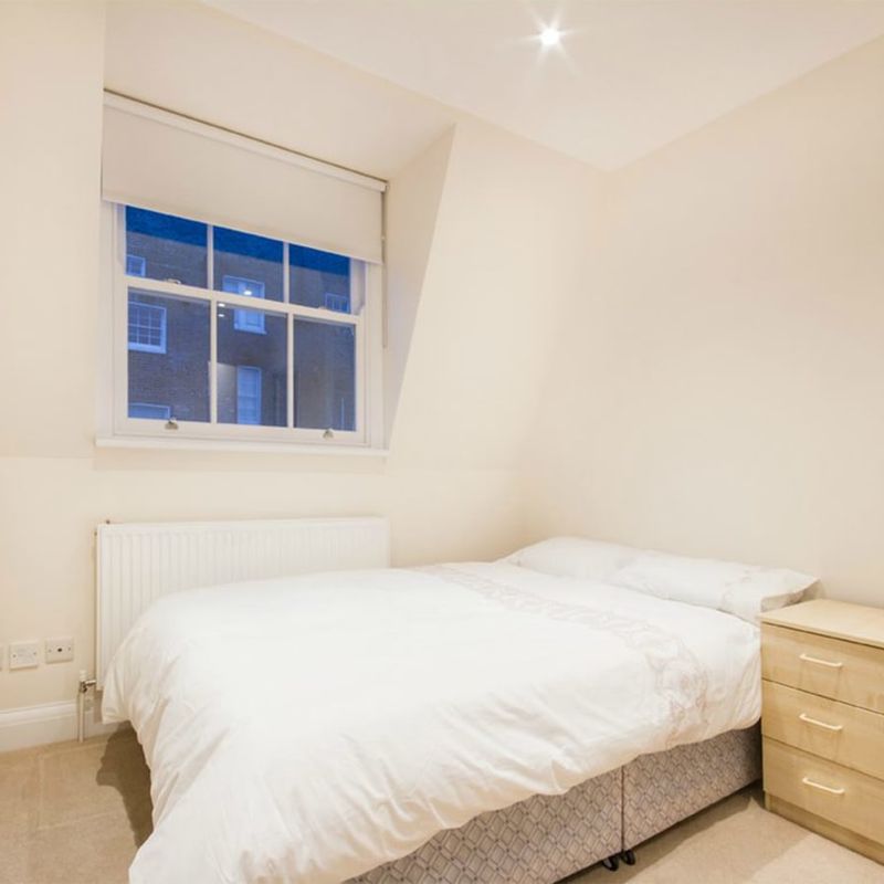 stunning double room in pimlico, sw1v 2ne!